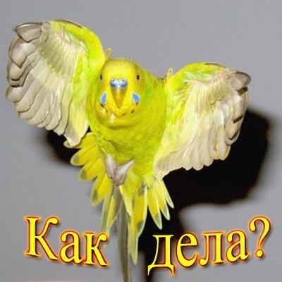 http://www.kalitva.ru/uploads/img/1106.jpg